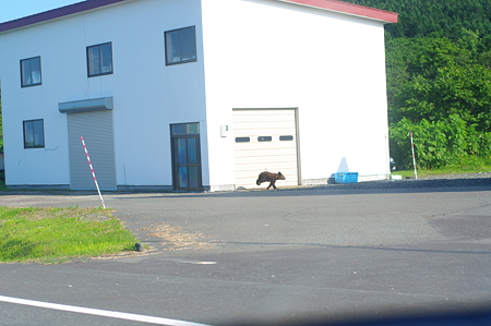 IMGP8984