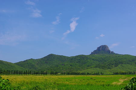 IMGP8778