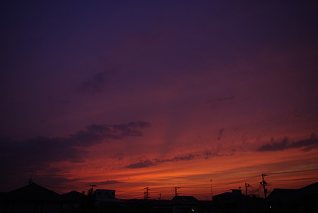 _IGP2397