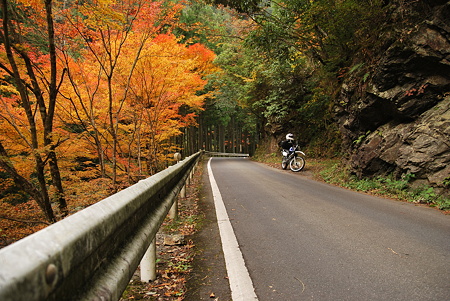 2010年・紅葉のR371-A