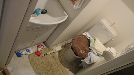 トイレ洗面が・・、フタ閉めててよかった・・