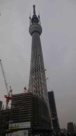 少し離れて。でかくなったなぁ。