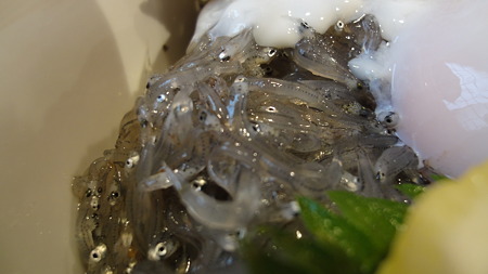 さっきまで茅ヶ崎の海を泳いでいたのね