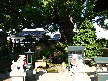 法楽寺 (6)