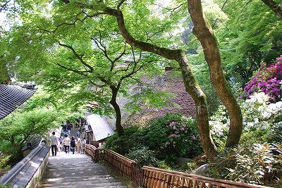 坂道
