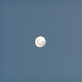 Photos: FL The Moon 1-1-07 1634