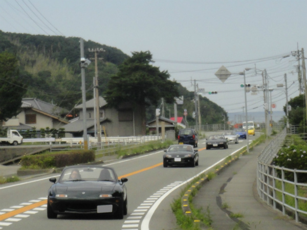 ピンボケですが・・・。