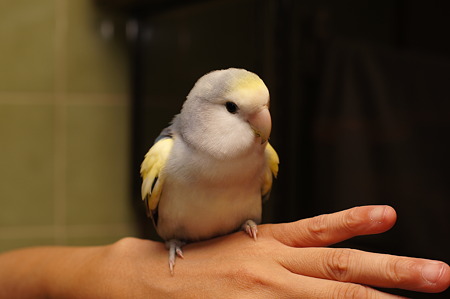 DSC01841