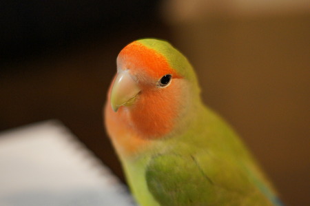 DSC03265