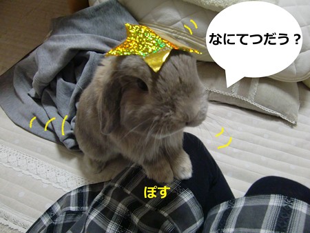 七夕3