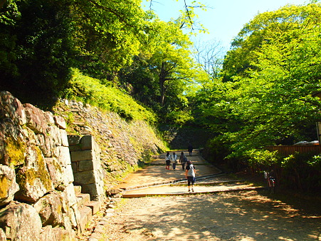 P5021074