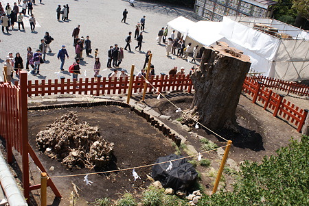 鶴岡八幡宮