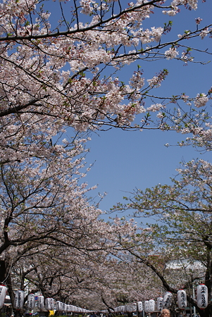 鎌倉
